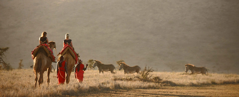 Diwaka Safaris-African Safari Tours | Kenya Safaris & East African Safari Tour Packages