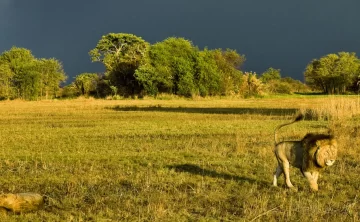 Kafue National Park 21