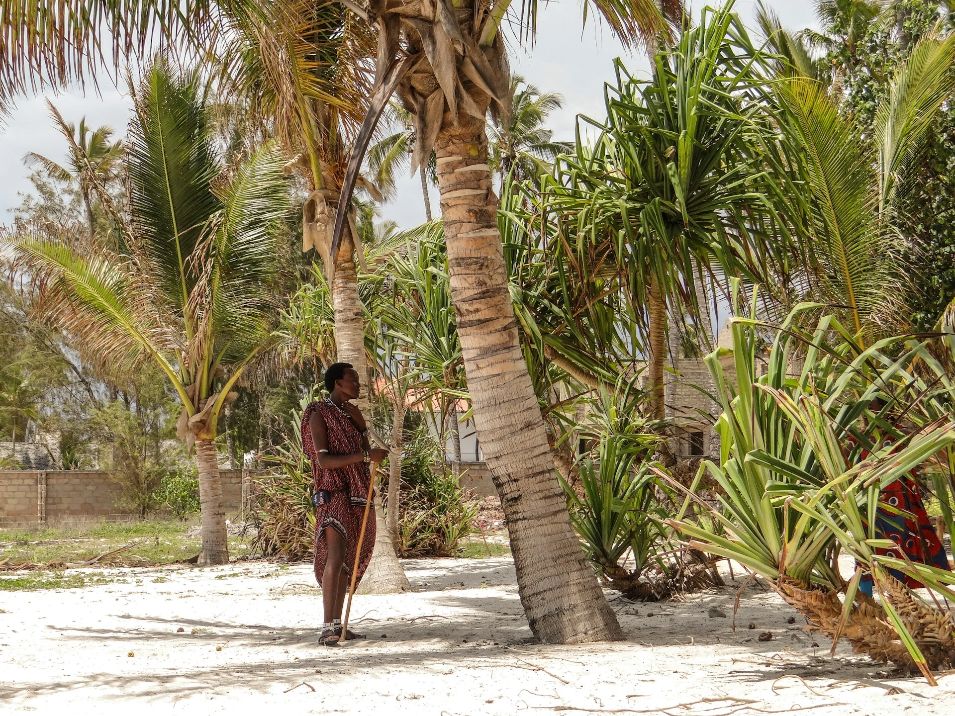 Kenya & Zanzibar Safaris 16 Diwaka Safaris-African Safari Tours | Kenya Safaris & East African Safari Tour Packages