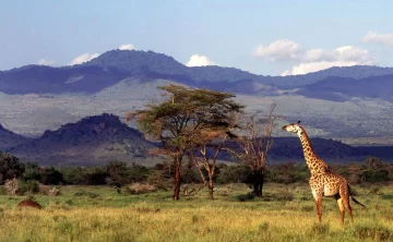 Chyulu Hills National Park 829