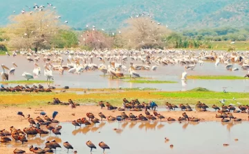 Lake Manyara National Park 235