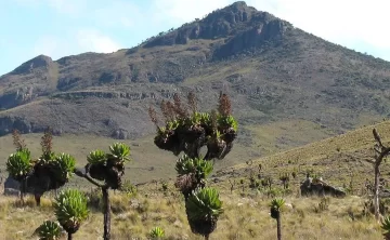 Mt Elgon National Park 652