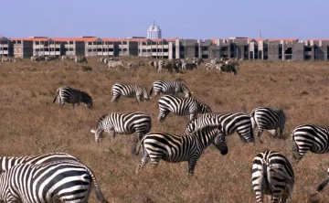 Nairobi National Park 687