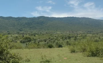 Oldonyo Sabuk National Park 489