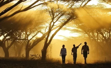 Shaba Game Reserve 545