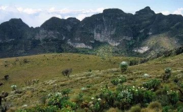 Arabuko Sokoke National Park 230 Arabuko Sokoke National Park