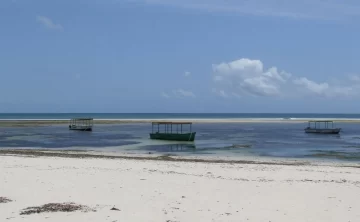 Malindi Marine National Park 78 Malindi Marine National Park